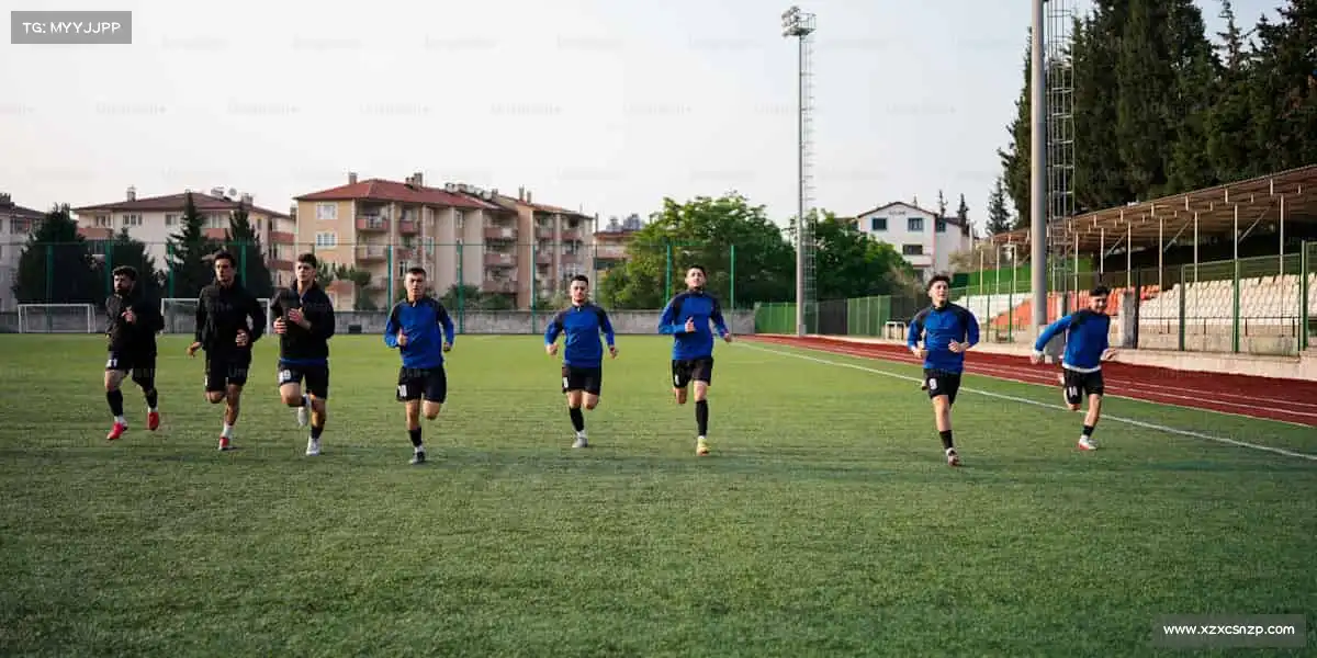 我们的核心竞争力