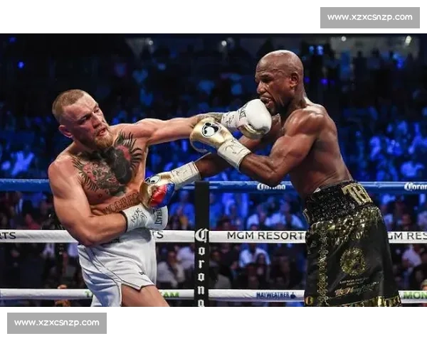 梅瑟威对阵嘴炮天价出场费背后的商业博弈真相与拳坛流量时代全景